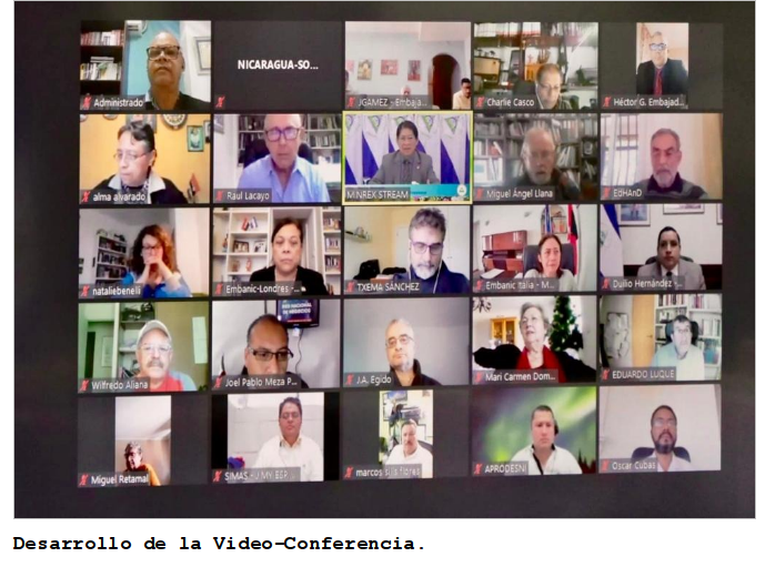 webinar-ong-cancilleria